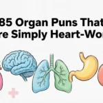 85 Organ Puns That Are Simply Heart-Work organ puns