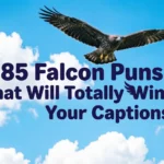 falcon puns captions