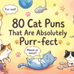 cat puns